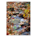 Autumn Stream cards