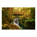 Autumn stream posters
