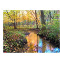 Autumn Stream posters
