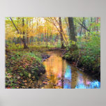 Autumn Stream posters