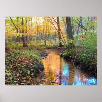 Autumn Stream Print by signore