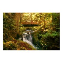 Autumn stream posters by tompurse Autumn stream posters
