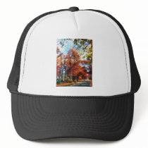 Autumn Street Perspective hats