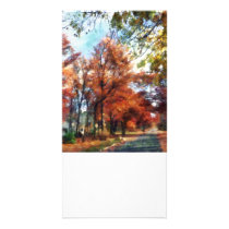 Autumn Street Perspective photo cards