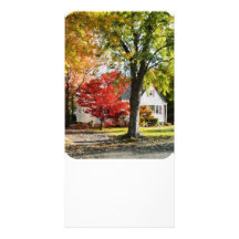 Autumn Street With Red Tree Customized Photo Card