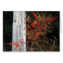 Autumn Sumac cards by kchwxdr Autumn Sumac cards