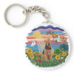 Autumn Sun - Airedale 1