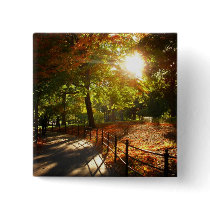 Autumn Sun in Central Park, New York City Pin