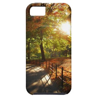 Autumn Sun in Central Park - New York City Iphone 5 Case