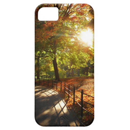 Autumn Sun in Central Park - New York City iPhone 5 Case
