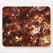 Autumn Sun mousepads by heathsgal19 Autumn Sun mousepads
