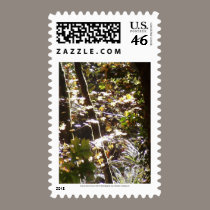 Autumn Sun Rays #12 stamps