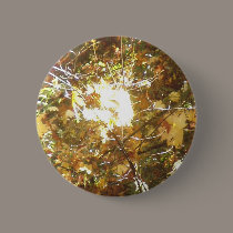 Autumn Sun Rays #14 buttons