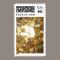 Autumn Sun Rays #14 stamps