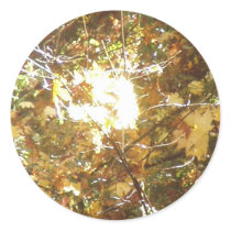 Autumn Sun Rays #14 stickers by dlmtleArt Autumn Sun Rays #14 stickers