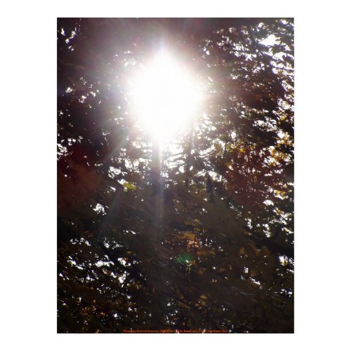 Autumn Sun Rays # 17 print