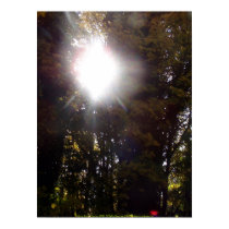 Autumn Sun Rays #1 posters by dlmtleArt Autumn Sun Rays #1 posters