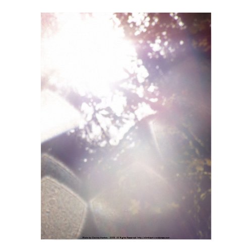 Autumn Sun Rays #21 - Customized print