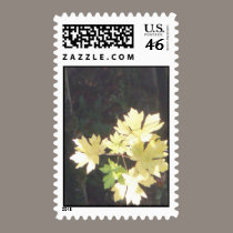 Autumn Sun Rays #34 postage