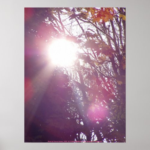 Rays Of Sun. Autumn sun Rays #60 print