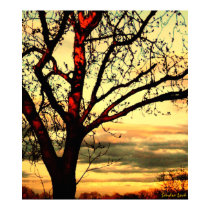 Autumn Sunset art print