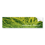 Autumn Sunset Bumper Sticker