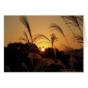 Autumn Sunset cards