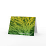Autumn Sunset Greeting Card