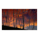 Autumn Sunset in the Country posters