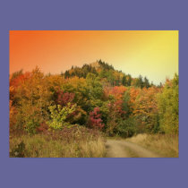 Autumn Sunset posters