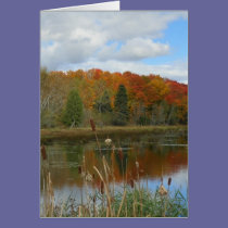 Autumn Swamp cards