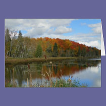 Autumn Swamp cards