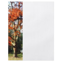 Autumn Sycamore Tree Full Color Flyer