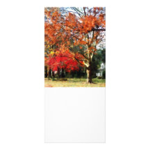 Autumn Sycamore Tree Personalized Rack Card