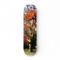 Autumn Sycamore Tree Skate Boards