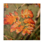 Autumn Table Thanksgiving Trivet Tile Hotpad