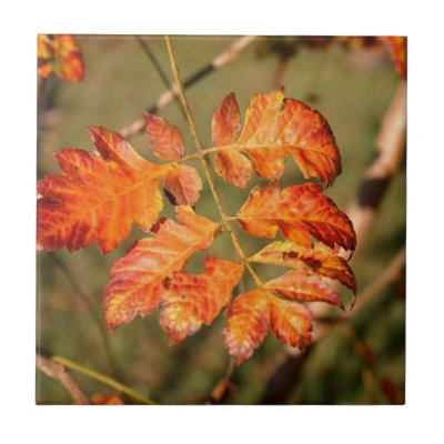 Autumn Table Thanksgiving Trivet Tile Hotpad by Karibophoto