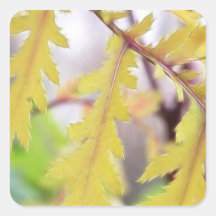 Autumn Tansy Leaves Stickers