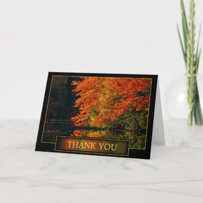 Autumn Thank You Acknowledgement Cards