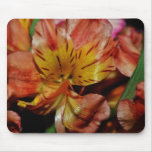 Autumn Tiger Lily-018 Mousepads