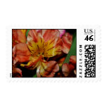 Autumn Tiger Lily-018 Postage