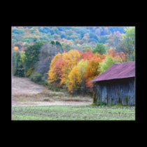 Autumn Tobacco Barn Nature Photography Postcard by SmilinEyesTreasures Autumn Tobacco Barn Nature Photography Postcard