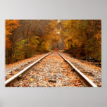 Autumn Tracks poster