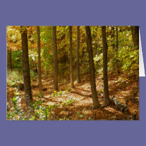 Autumn Trail cards