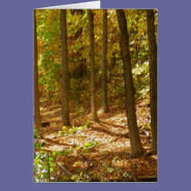 Autumn Trail cards