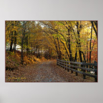 Autumn Trail I Posters