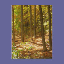 Autumn Trail postcards