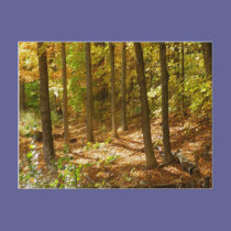 Autumn Trail postcards