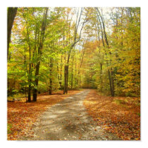 Autumn Trail posters