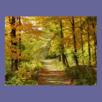 Autumn Trail posters